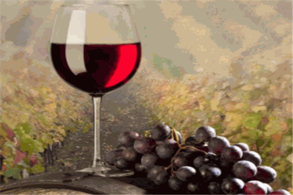 杜赫美仑拉菲葡萄酒